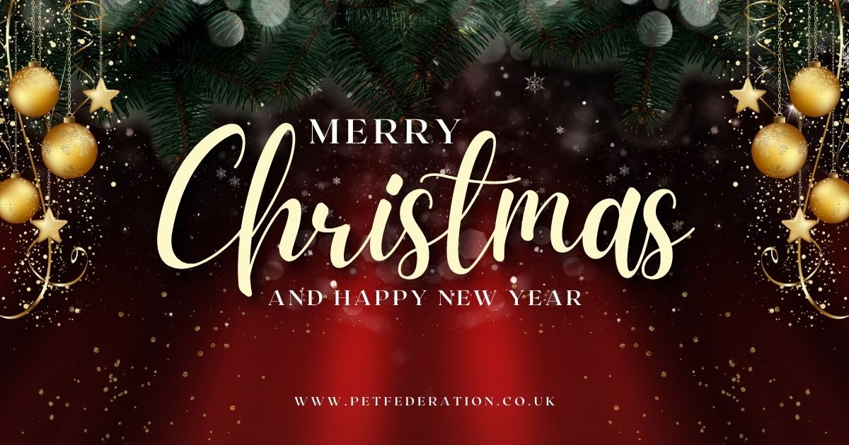 Red and Gold Modern Merry Christmas Facebook Post