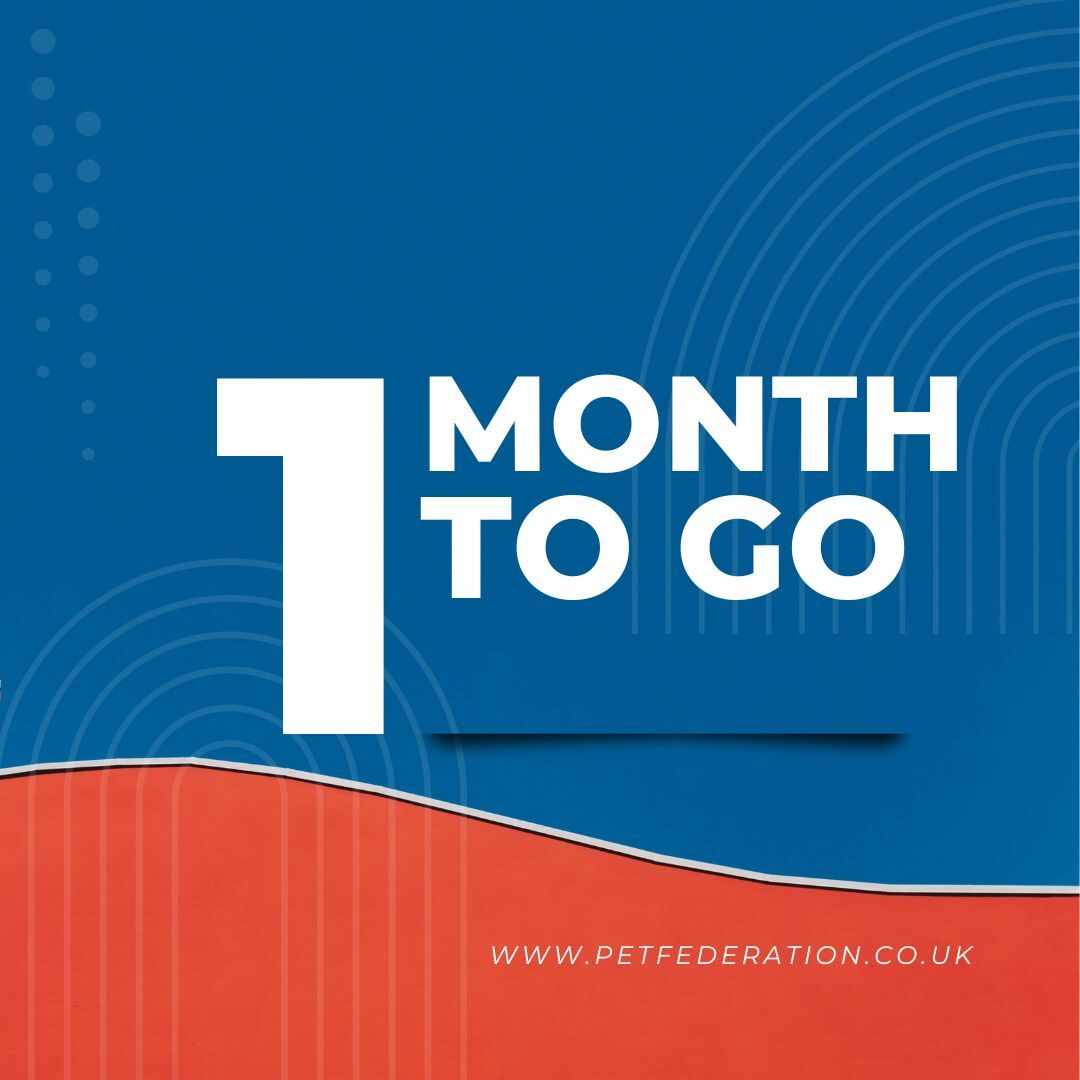 Innovation Countdown