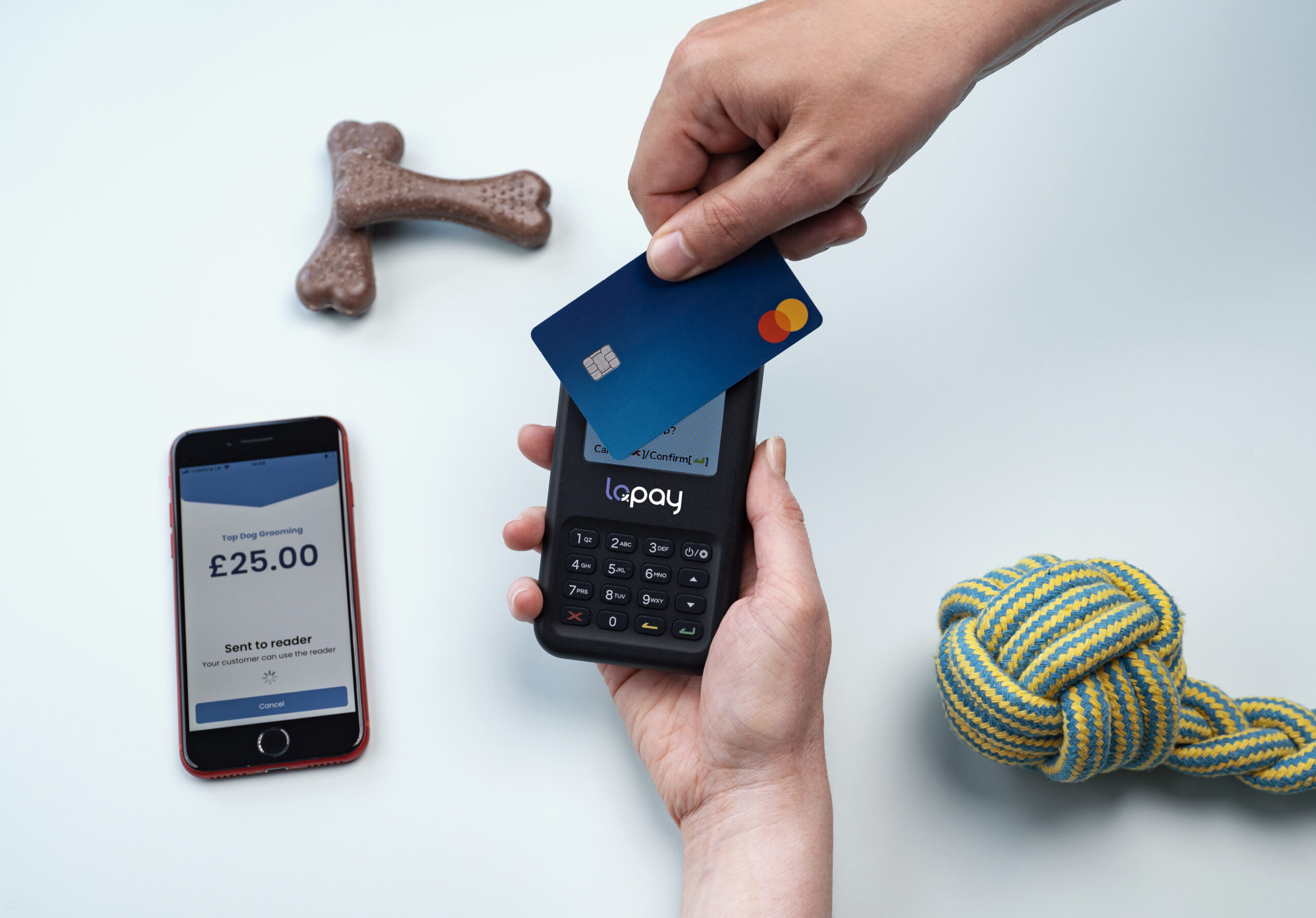 Lopay and card reader