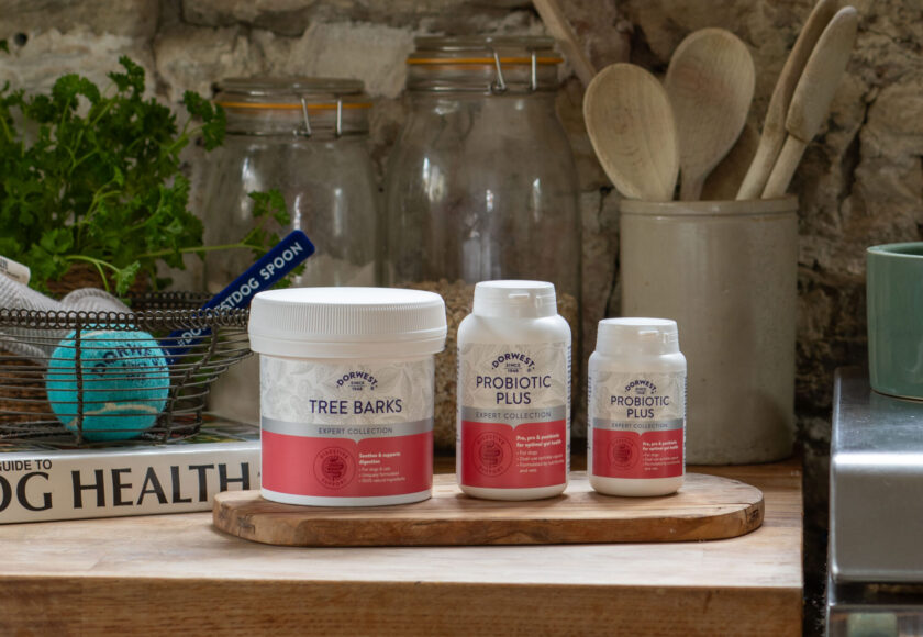 3 sizes of Dorwest Herbs new Probiotic Plus product for dogs placed on a piece of wood for display purposes