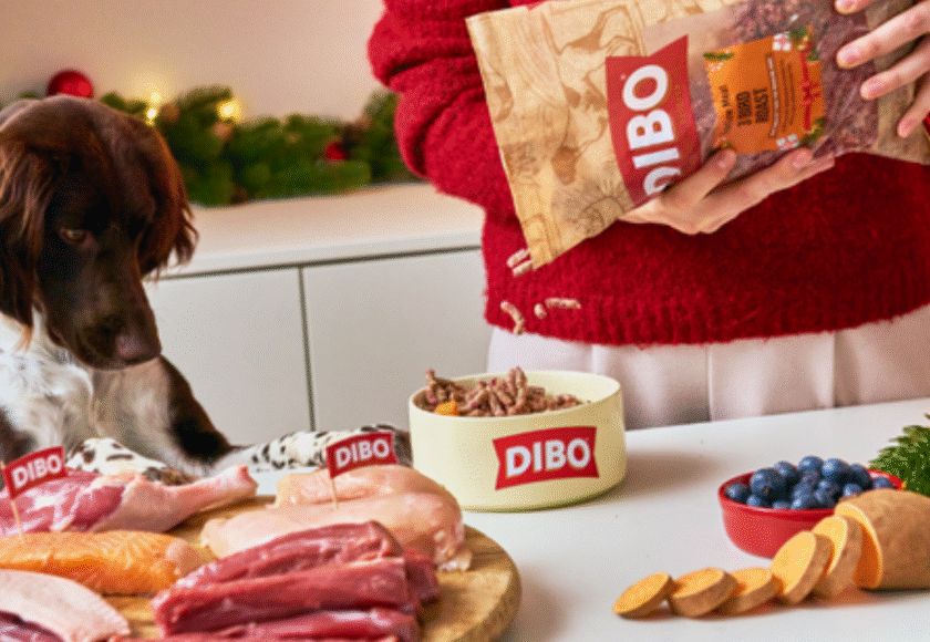 Dibo Press release