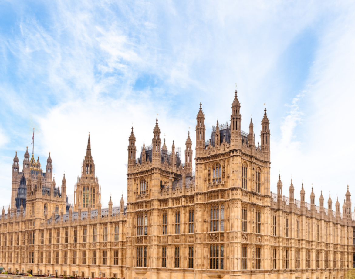 The Pet Industry Federation (PIF) has responded to recommendations from the House of Lords Environment and Climate Change Committee on the environmental impact of pet parasite medicines.