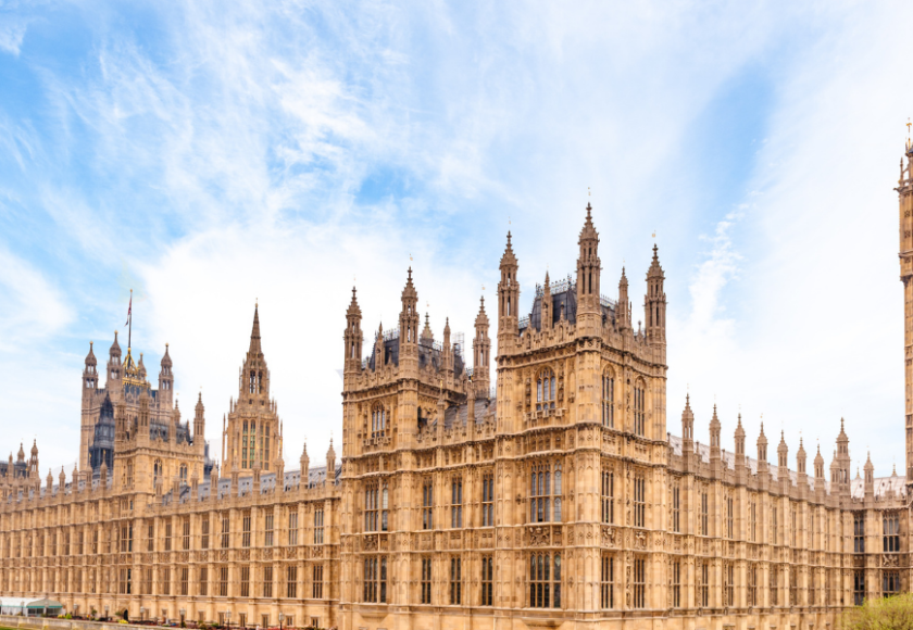 The Pet Industry Federation (PIF) has responded to recommendations from the House of Lords Environment and Climate Change Committee on the environmental impact of pet parasite medicines.
